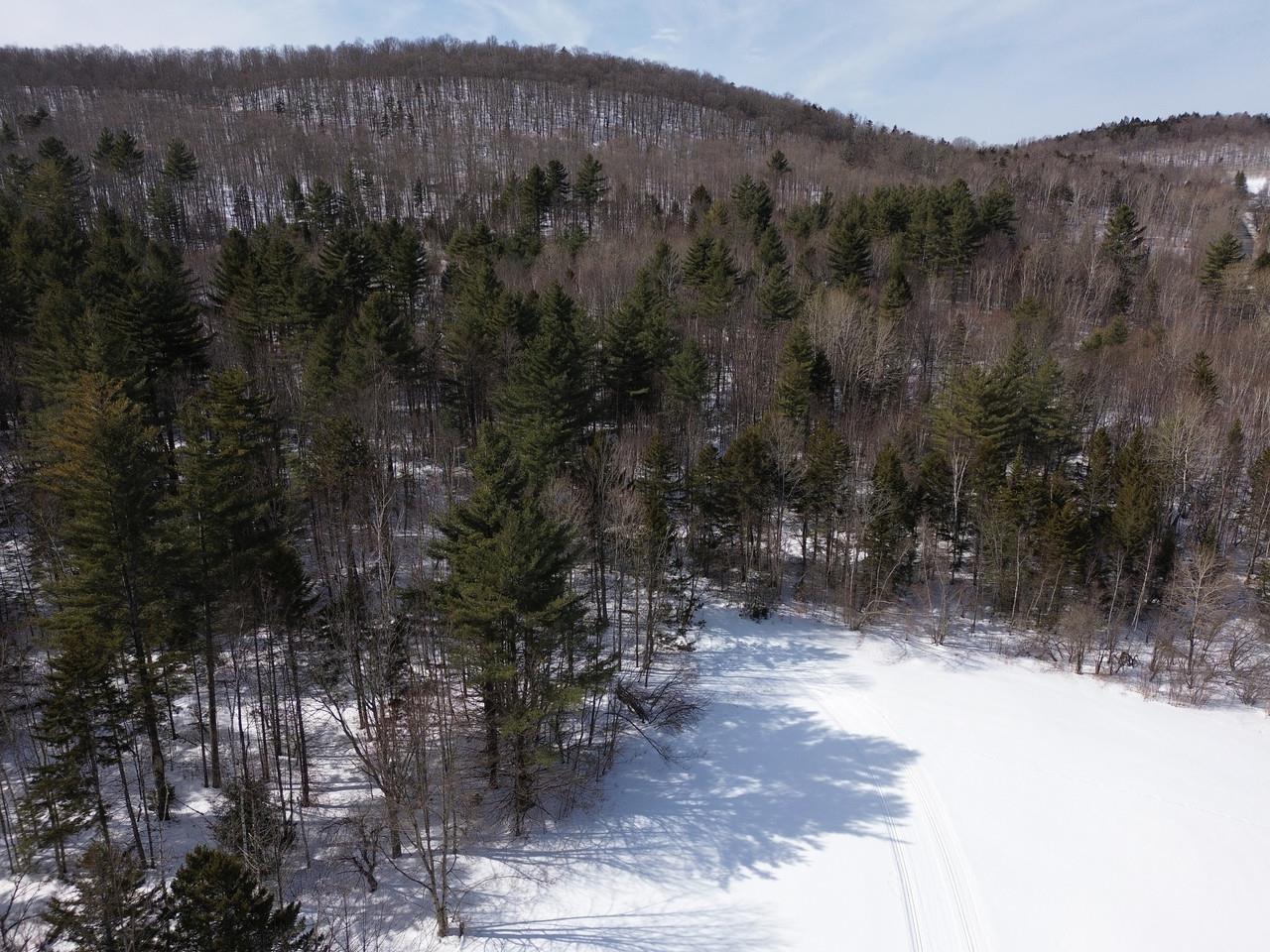 0 Fuller Hill Road, Unit 2 Warren, VT 05674 - Photo 20 of 21
