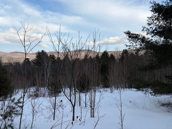 $800,000 | 0 Fuller Hill Road, Unit 2, Warren, VT 05674