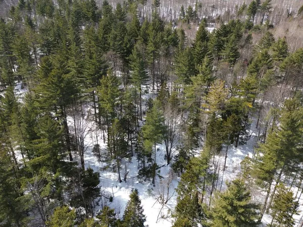 $800,000 | 0 Fuller Hill Road, Unit 2, Warren, VT 05674