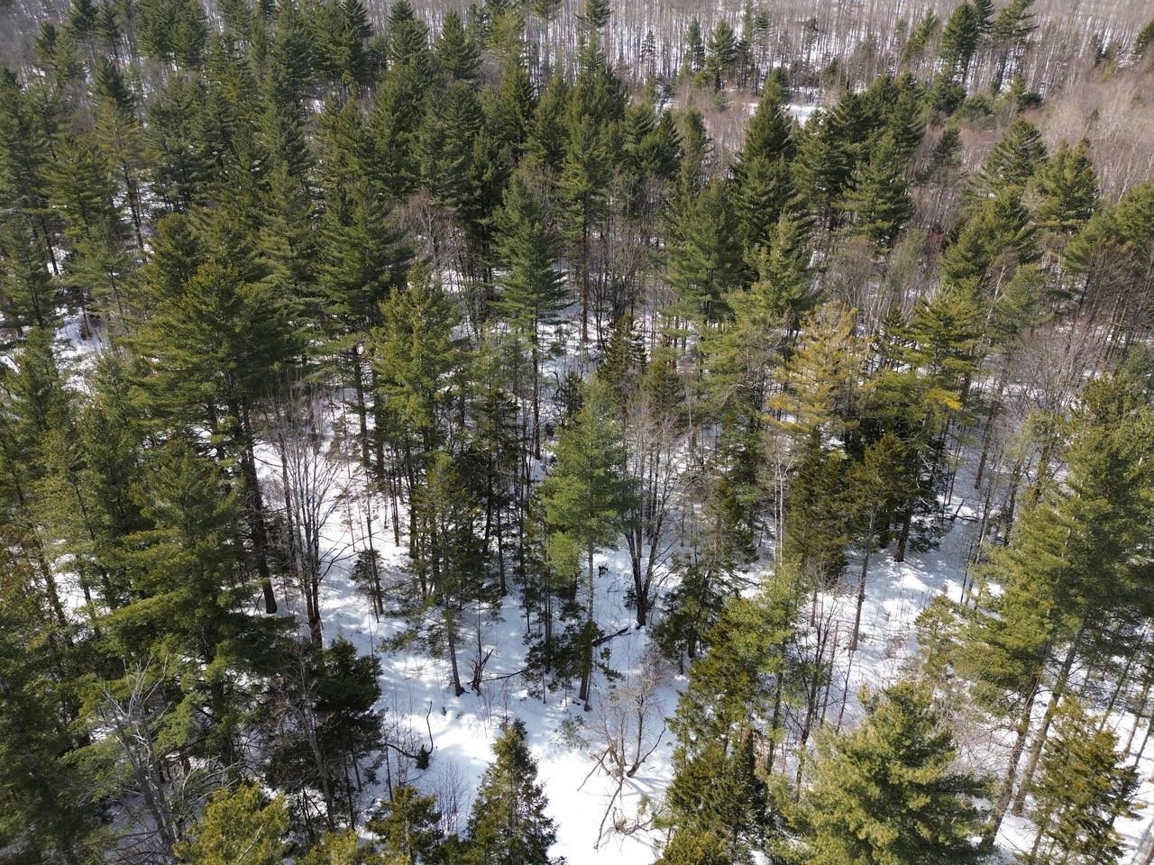 0 Fuller Hill Road, Unit 2 Warren, VT 05674 - Photo 21 of 21