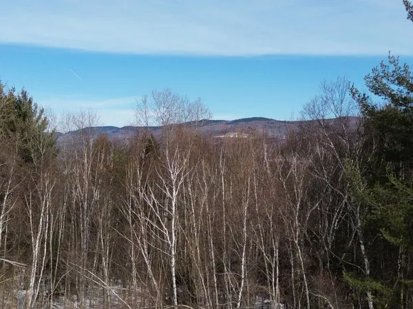 $800,000 | 0 Fuller Hill Road, Unit 2, Warren, VT 05674