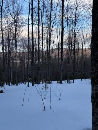 $800,000 | 0 Fuller Hill Road, Unit 2, Warren, VT 05674