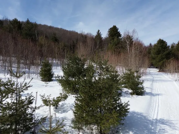 $800,000 | 0 Fuller Hill Road, Unit 2, Warren, VT 05674