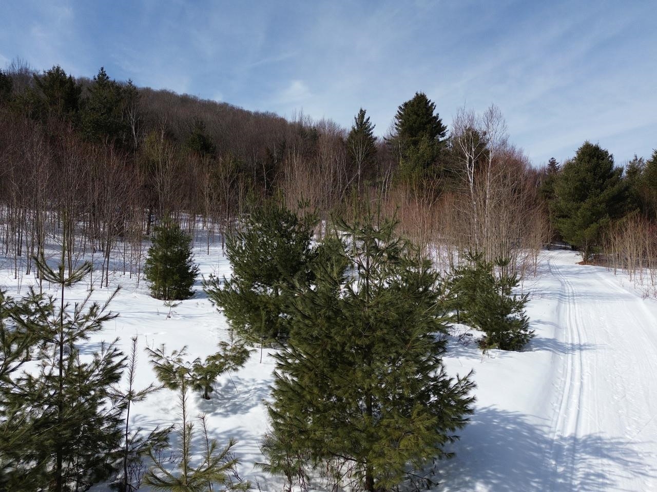 0 Fuller Hill Road, Unit 2 Warren, VT 05674 - Photo 8 of 21