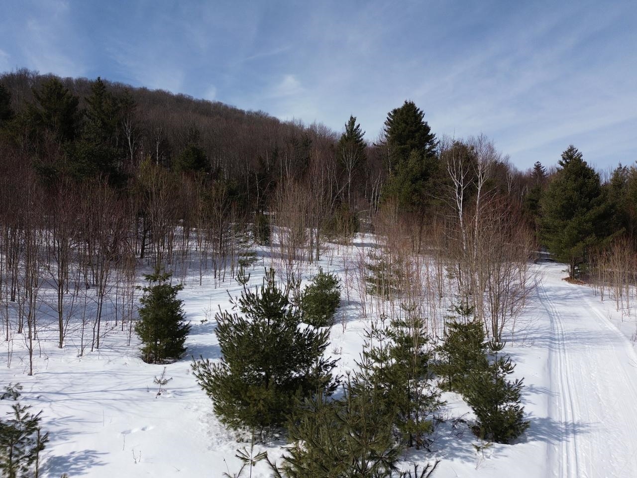 0 Fuller Hill Road, Unit 2 Warren, VT 05674 - Photo 9 of 21