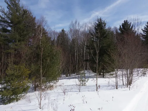 $800,000 | 0 Fuller Hill Road, Unit 2, Warren, VT 05674