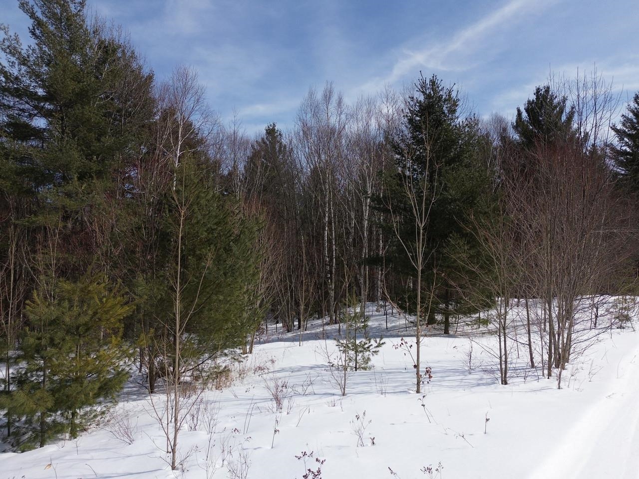 0 Fuller Hill Road, Unit 2 Warren, VT 05674 - Photo 10 of 21