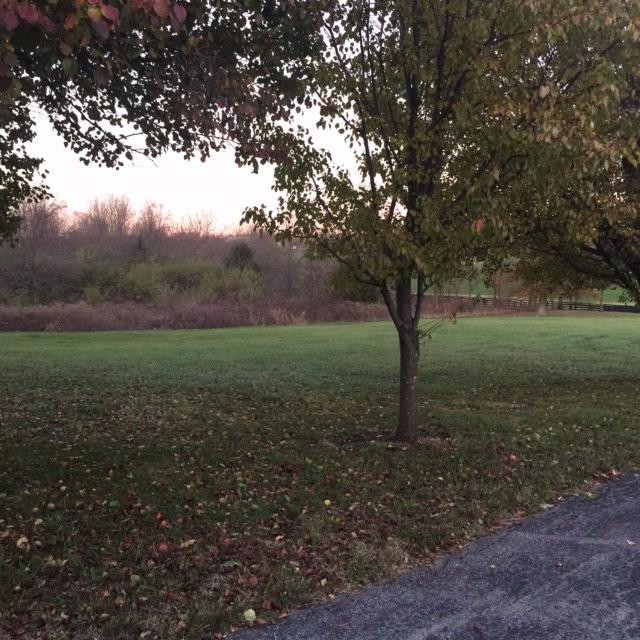 2901 Muir Station Road Lexington, KY 40516 - Photo 20 of 29 Photo 20