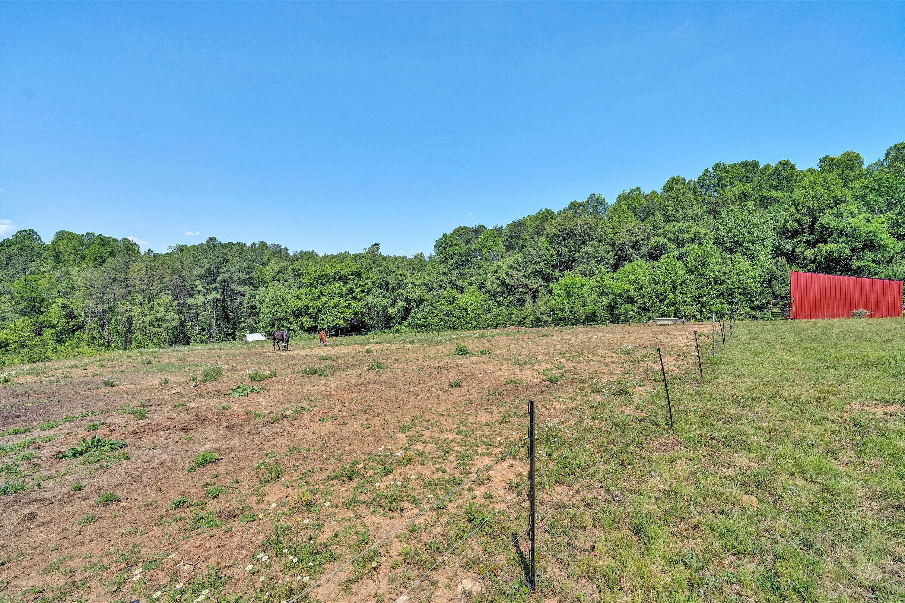 180 Thompson Ridge Circle Ferrum, VA 24088 - Photo 68 of 74 a view of a yard with an trees