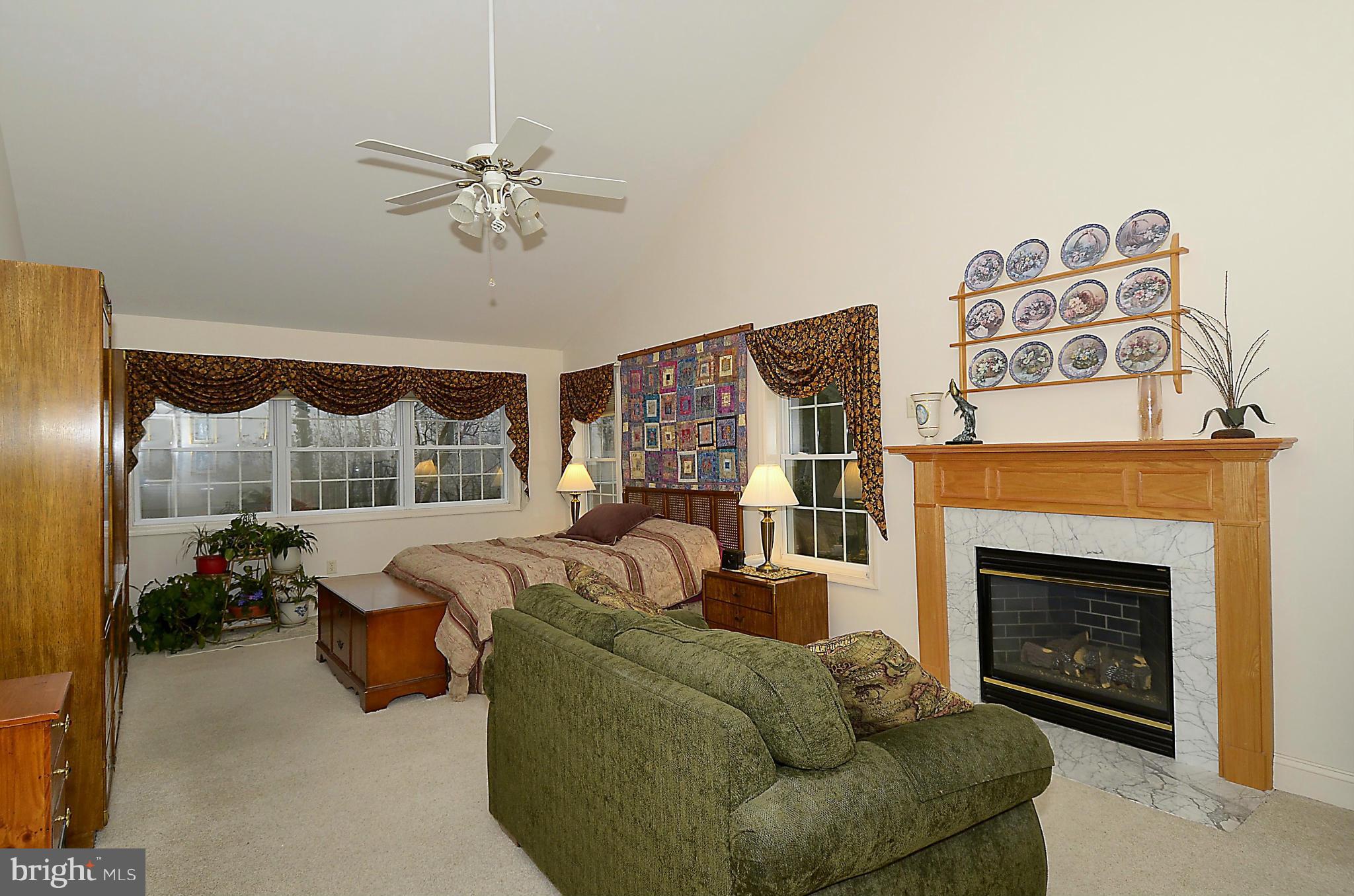 152 Spring Path Arnold, MD 21012 - Photo 17 of 30 Master Suite has sitting area & a Fireplace.