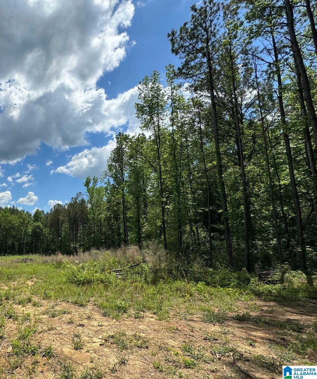 5024 Hollis Goodwin Road Dora, AL 35062 - Photo 2 of 5