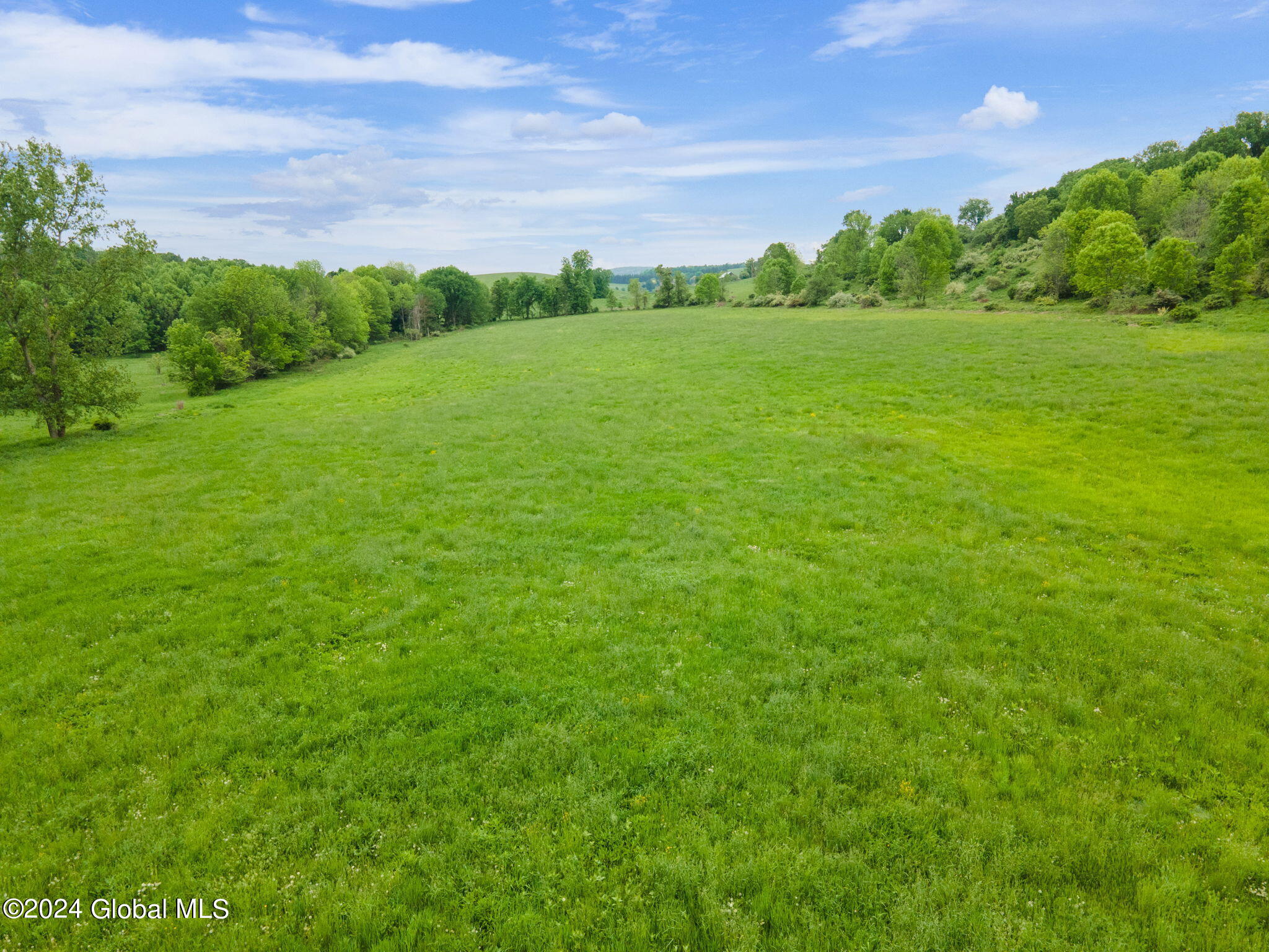 195 Hubb Shutts Road Cobleskill, NY 12043 - Photo 11 of 15 13-web-or-mls-195HubbShuttsRd_13