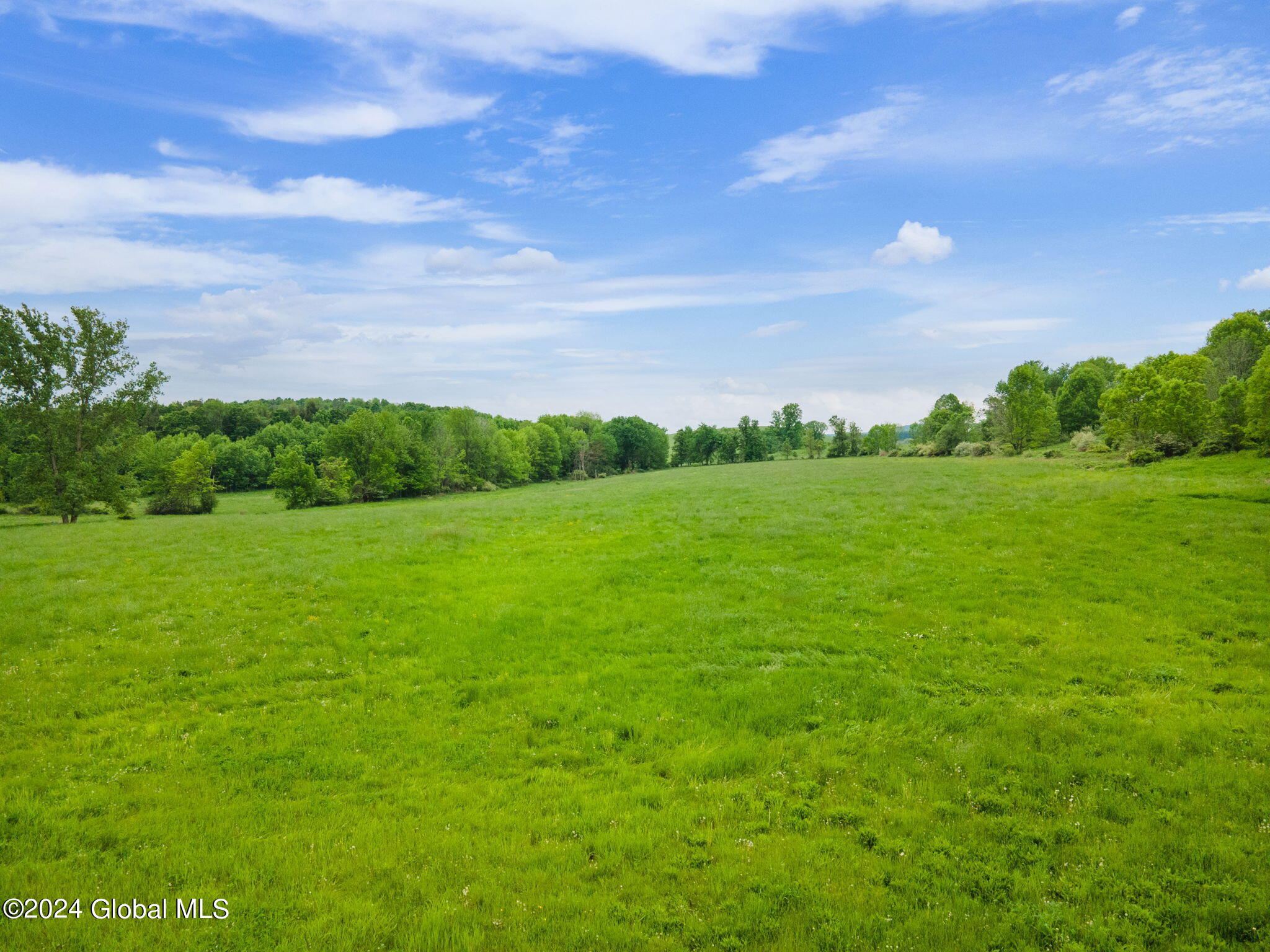 195 Hubb Shutts Road Cobleskill, NY 12043 - Photo 2 of 15 1-web-or-mls-195HubbShuttsRd_01