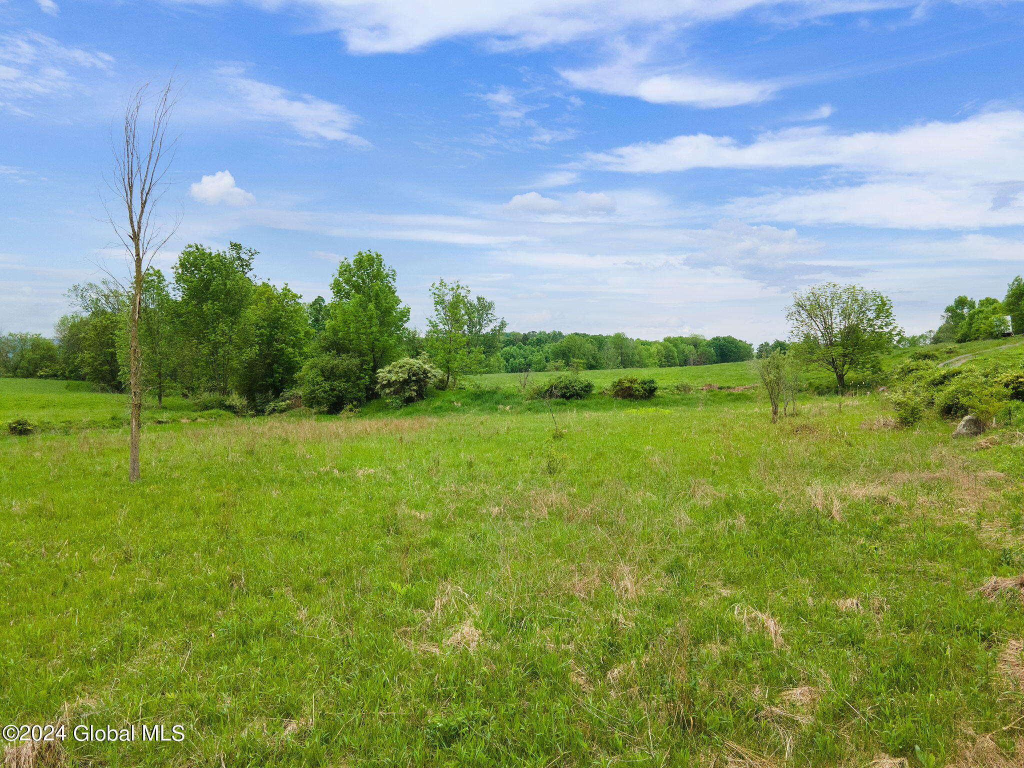 195 Hubb Shutts Road Cobleskill, NY 12043 - Photo 4 of 15 2-web-or-mls-195HubbShuttsRd_02