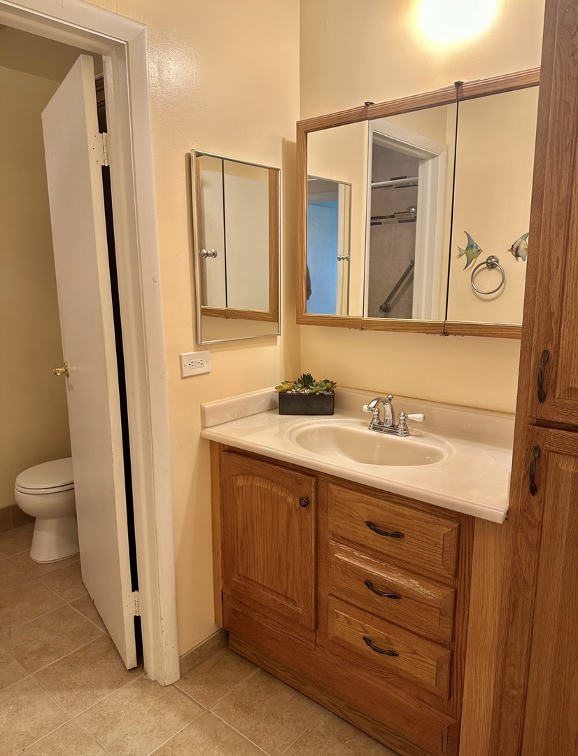 9s070 South Frontage Road, Unit 204 Willowbrook, IL 60527 - Photo 5 of 18 a bathroom with a sink and a mirror