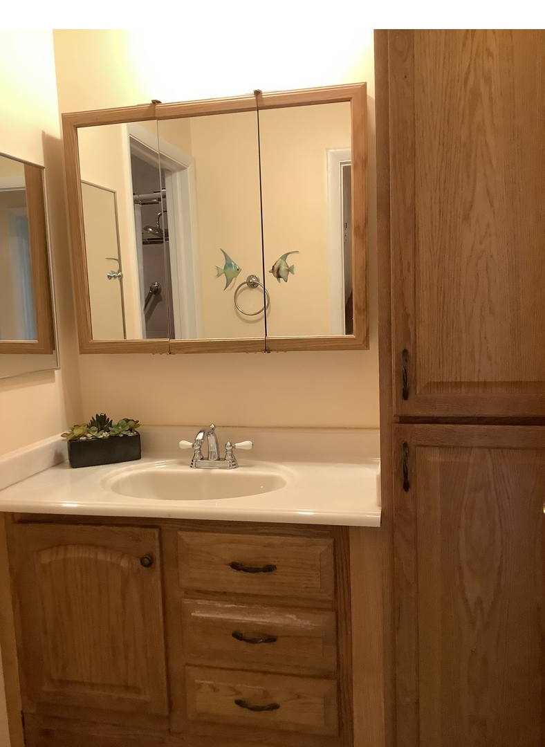 9s070 South Frontage Road, Unit 204 Willowbrook, IL 60527 - Photo 8 of 18 a bathroom with a sink and a mirror