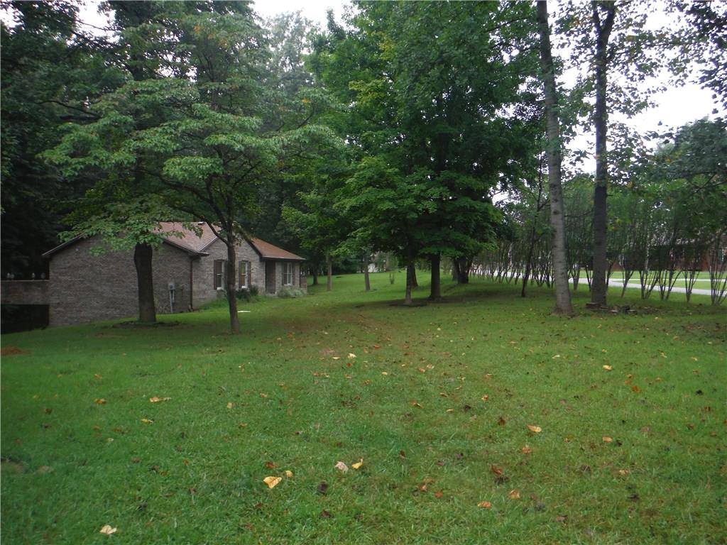 Gallery Image 7