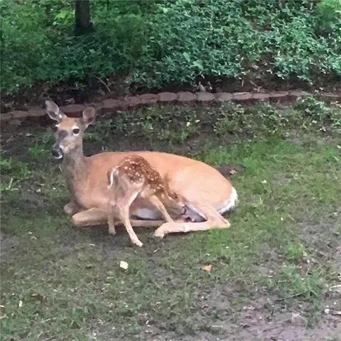 $125,000 | Bluff View, Parkville, MO 64152