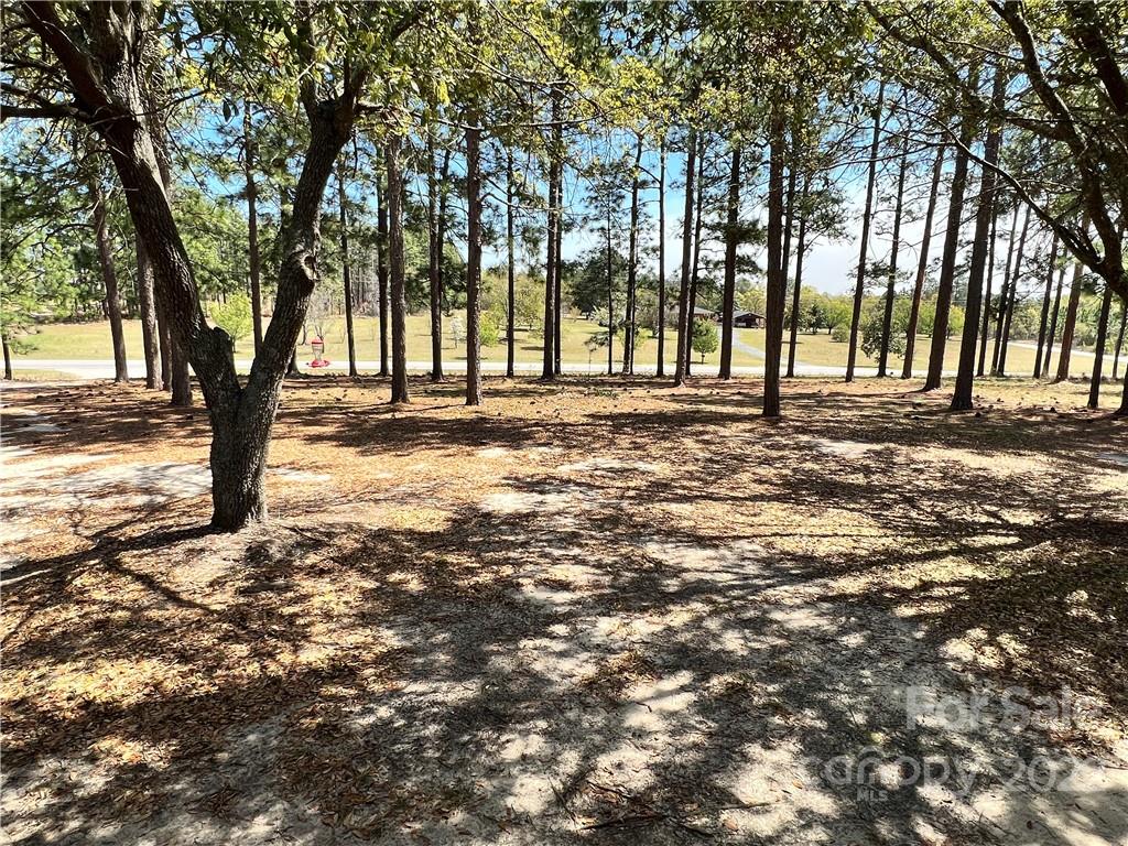 4114 Hartsville-Ruby Road Patrick, SC 29584 - Photo 46 of 48 a view of a yard with a tree