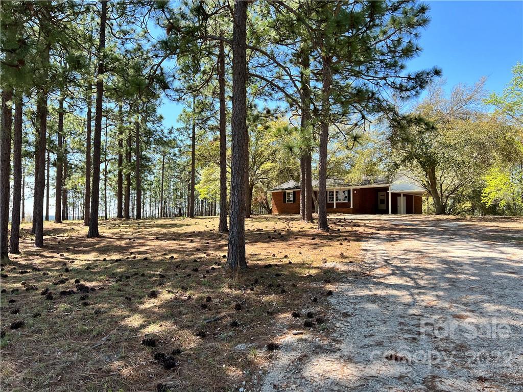 4114 Hartsville-Ruby Road Patrick, SC 29584 - Photo 48 of 48 a backyard of a house with large trees and outdoor space