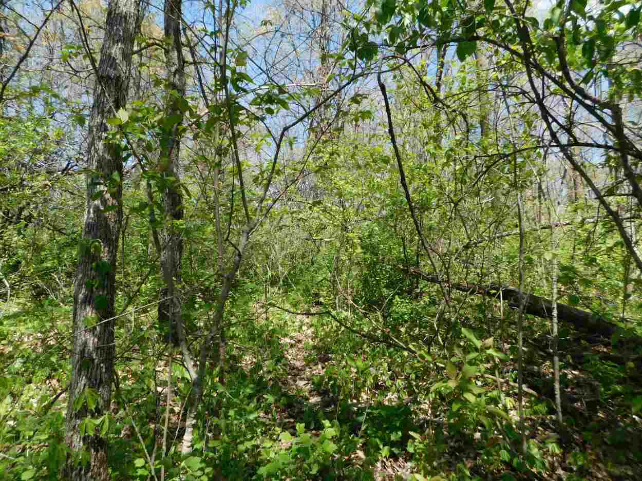 Tbd West Cording Road Galena, IL 61036 - Photo 8 of 15 Gallery Image 8