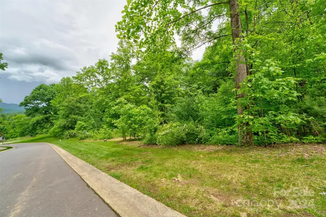 a view of yard with green space
