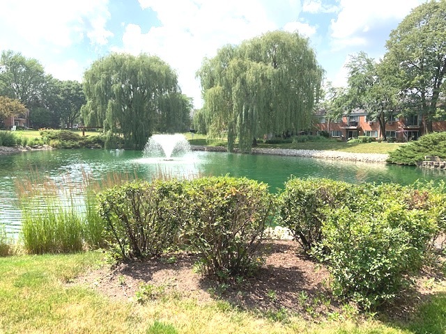2403 South Goebbert Road, Unit 205 Arlington Heights, IL 60005 - Photo 13 of 13 a view of a lake view with a garden