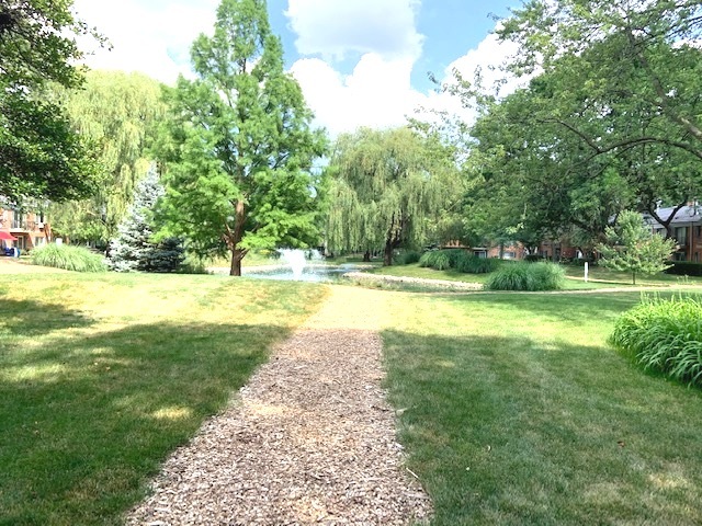 2403 South Goebbert Road, Unit 205 Arlington Heights, IL 60005 - Photo 10 of 13 a view of a swimming pool with a big yard and large trees
