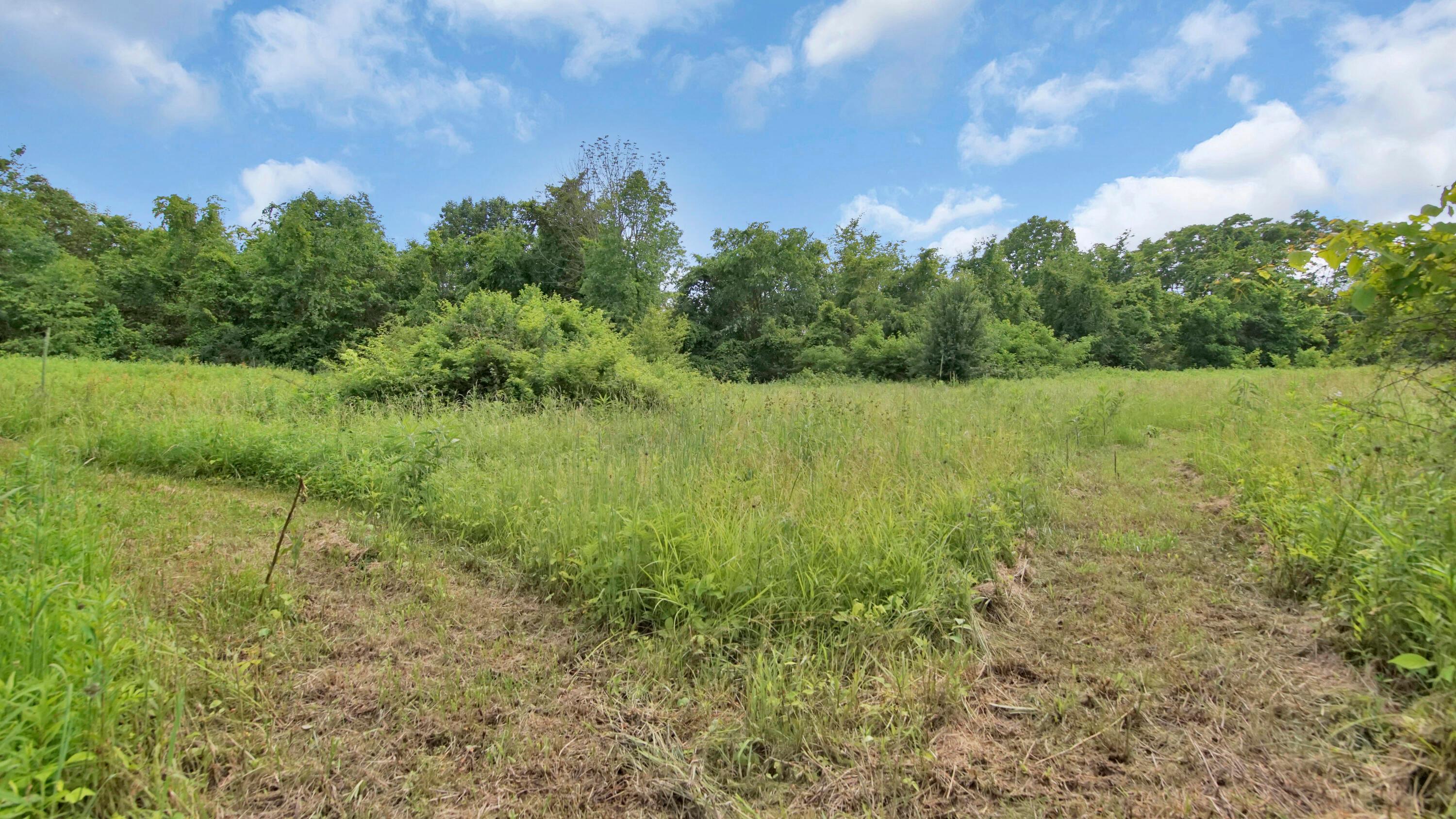 11094 Ridenour Road Thornville, OH 43076 - Photo 25 of 30 _DSC6955