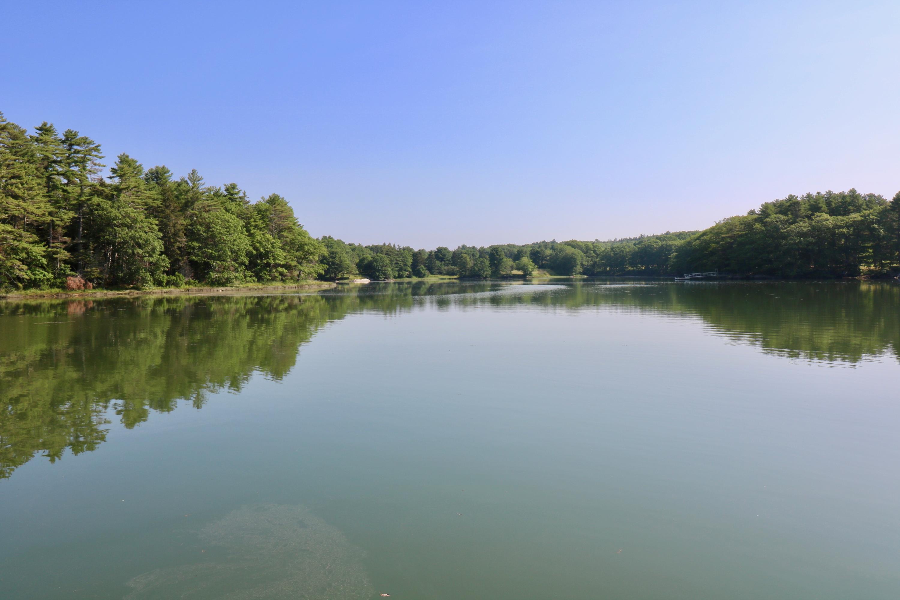 Water view