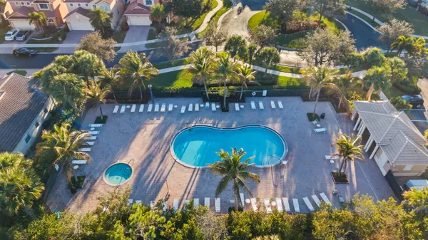 a view of a park with large trees
