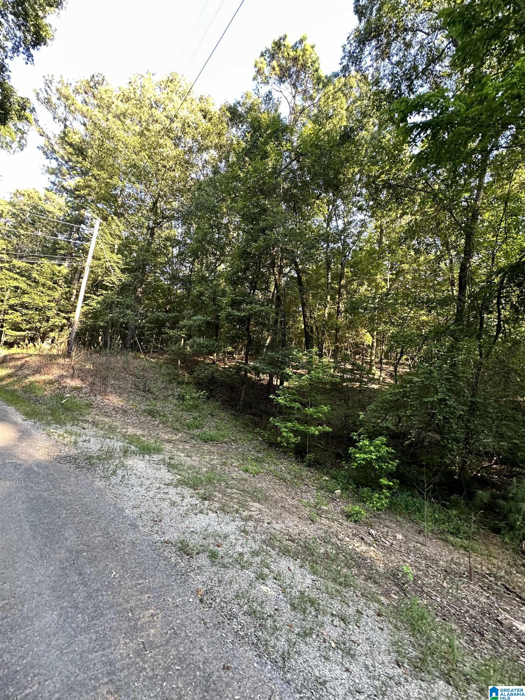 500 Black Acres Road, Unit 27 Cropwell, AL 35054 - Photo 4 of 25