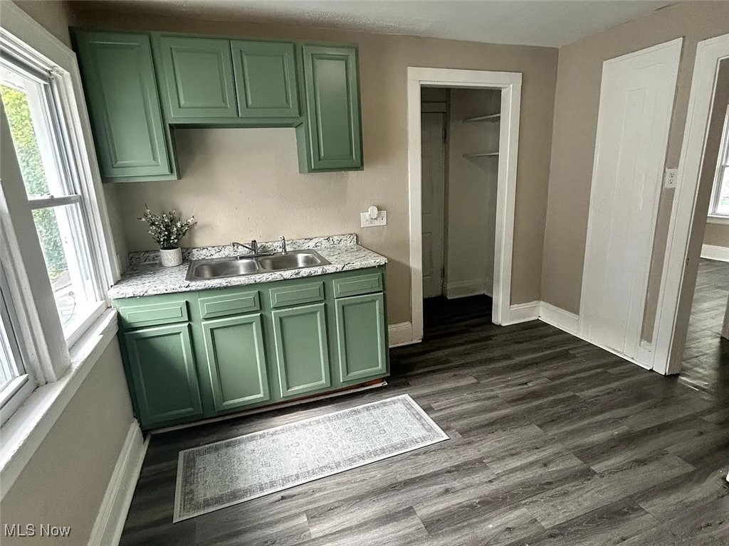 13902 Coit Road Cleveland, OH 44110 - Photo 10 of 17 Kitchen with dark wood-type flooring, sink, and green cabinetry