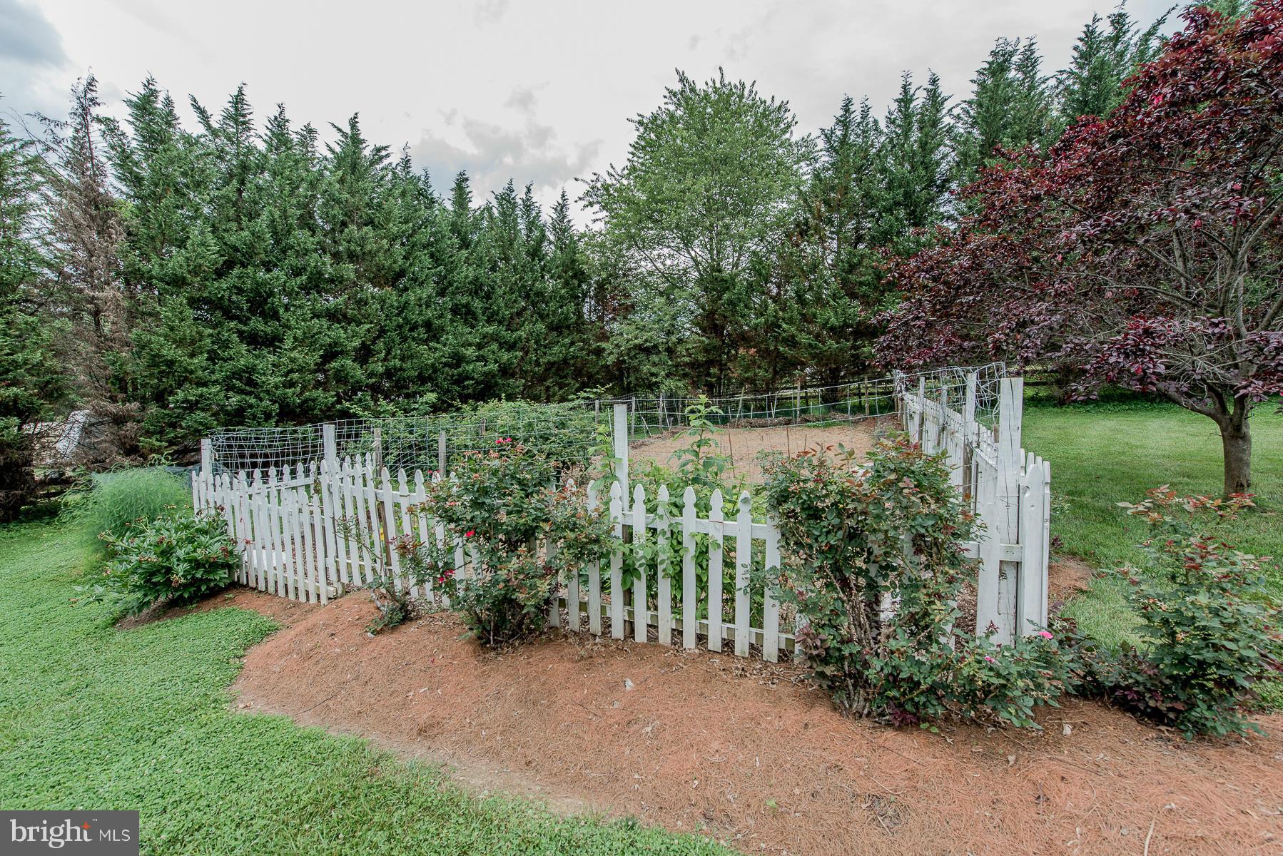 13255 Hunt Ridge Road Ellicott City, MD 21042 - Photo 27 of 30 Garden