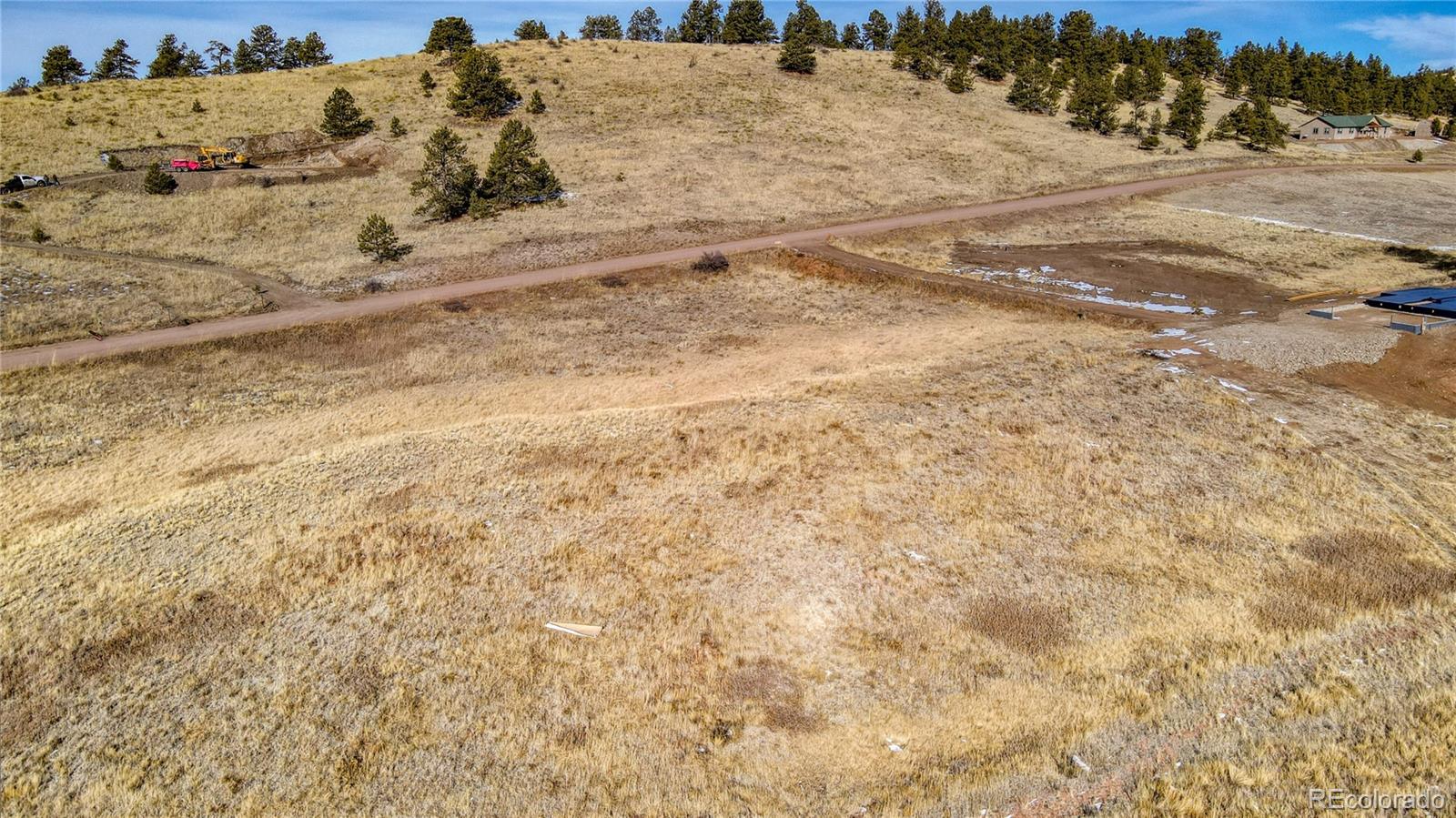 150 High Pasture Road Florissant, CO 80816 - Photo 11 of 19 a view of a dry yard with trees