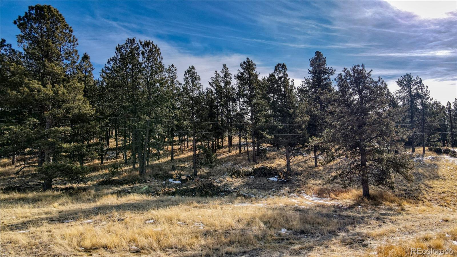 150 High Pasture Road Florissant, CO 80816 - Photo 14 of 19 a view of a large yard with lots of green space