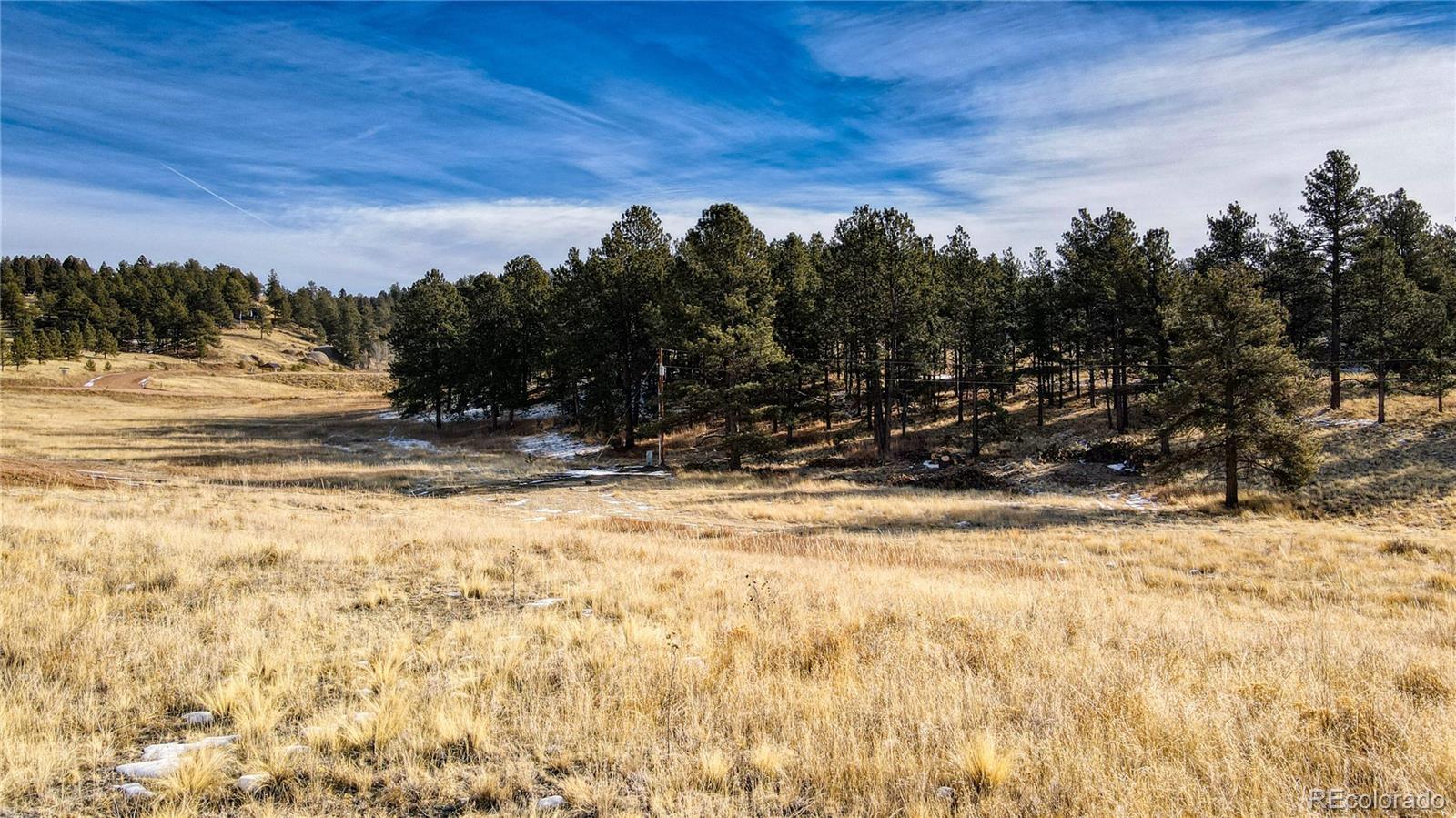 150 High Pasture Road Florissant, CO 80816 - Photo 3 of 19 a view of a yard with wooden fence