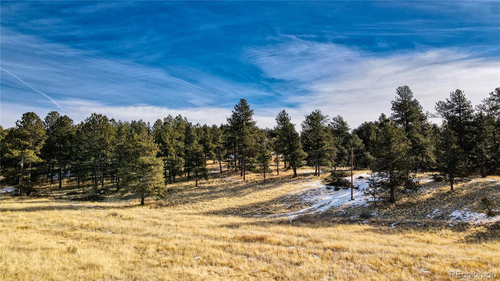 150 High Pasture Road Florissant, CO 80816 - Photo 4 of 19 a view of a yard with wooden fence