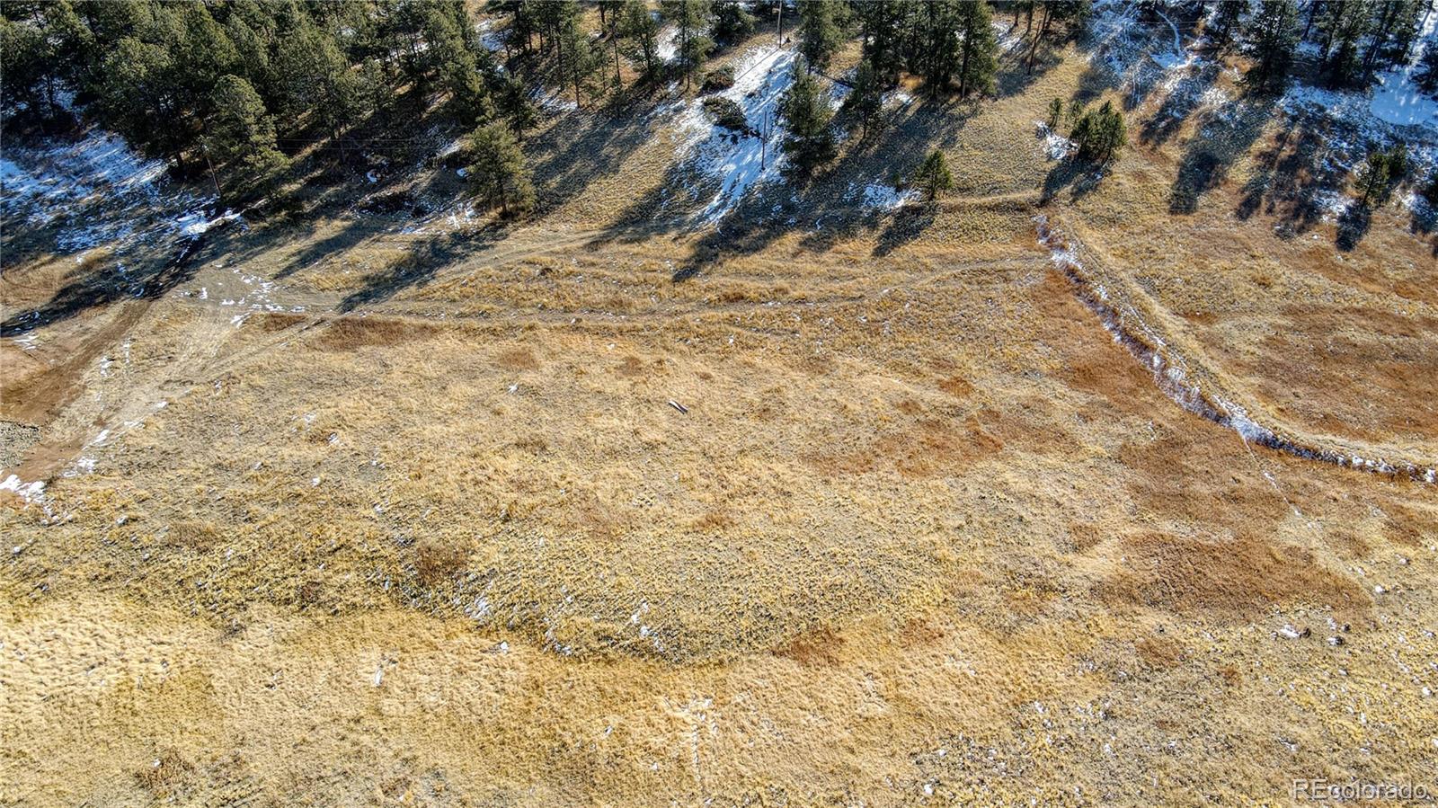 150 High Pasture Road Florissant, CO 80816 - Photo 6 of 19