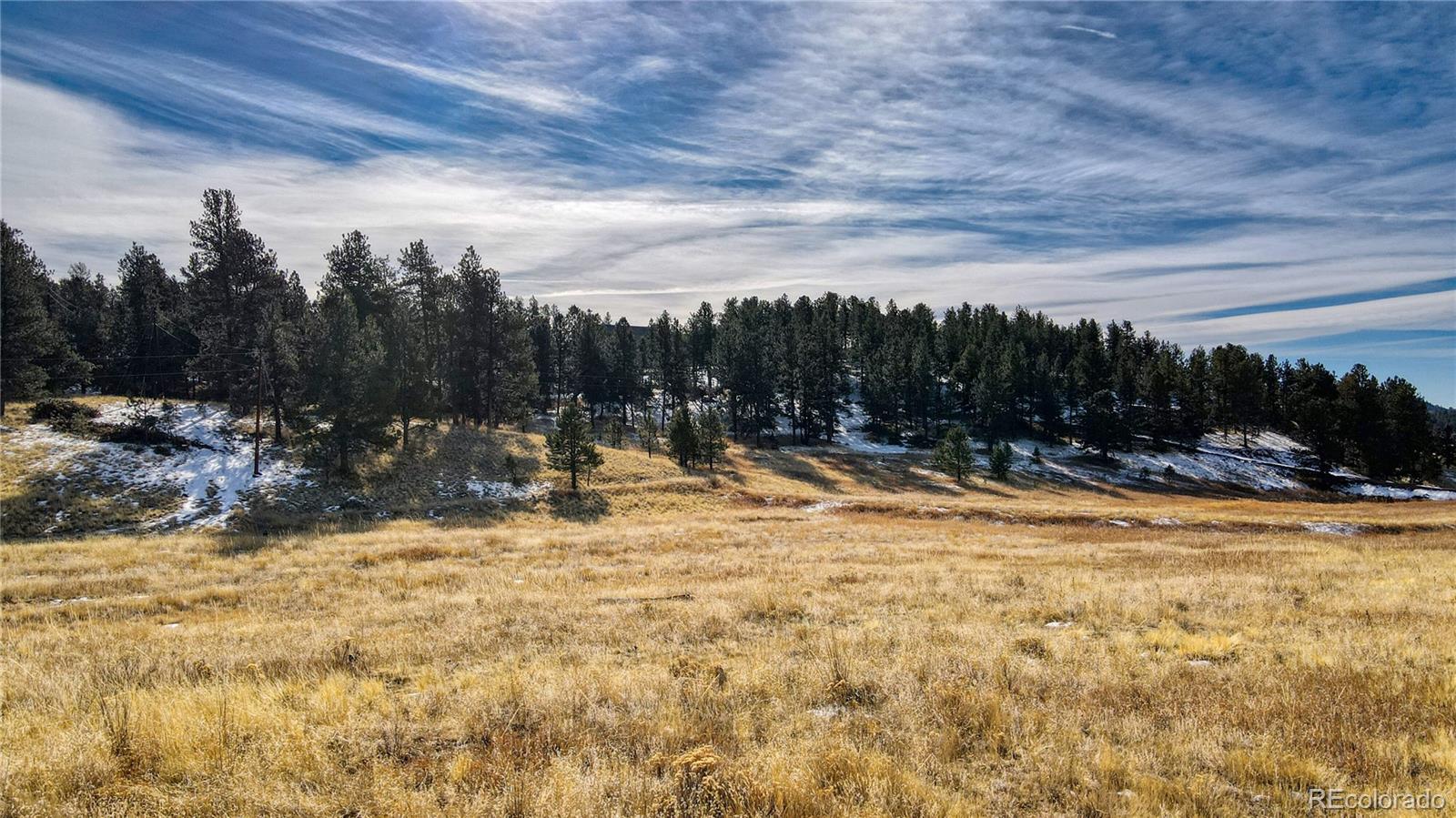 150 High Pasture Road Florissant, CO 80816 - Photo 9 of 19 a view of a swimming pool with a yard and trees in the background