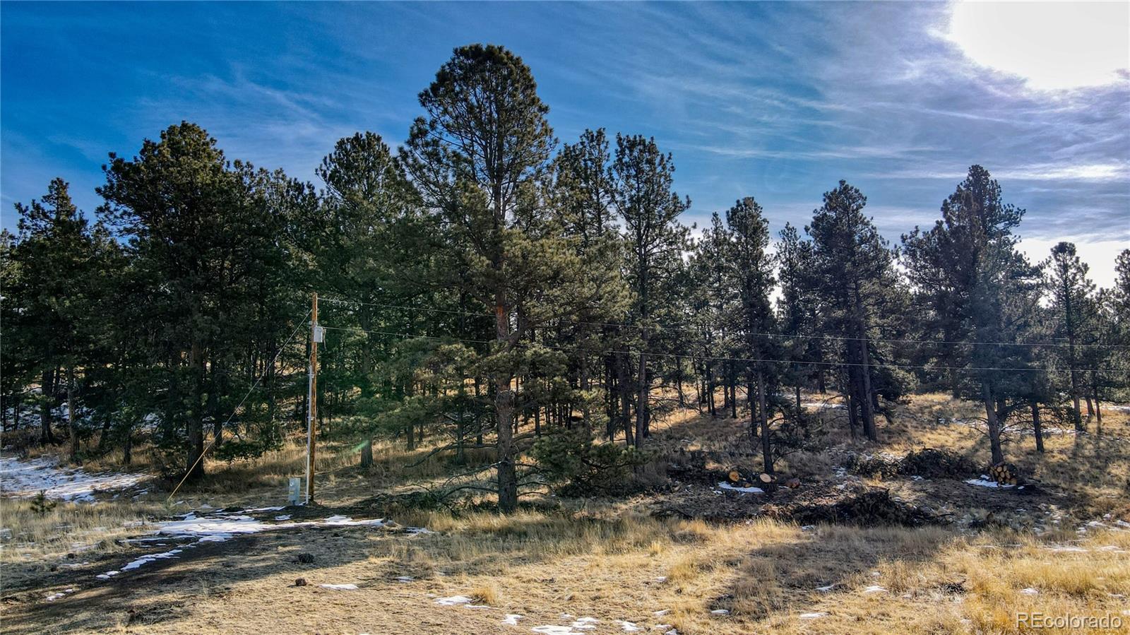150 High Pasture Road Florissant, CO 80816 - Photo 10 of 19 a view of a yard with a tree