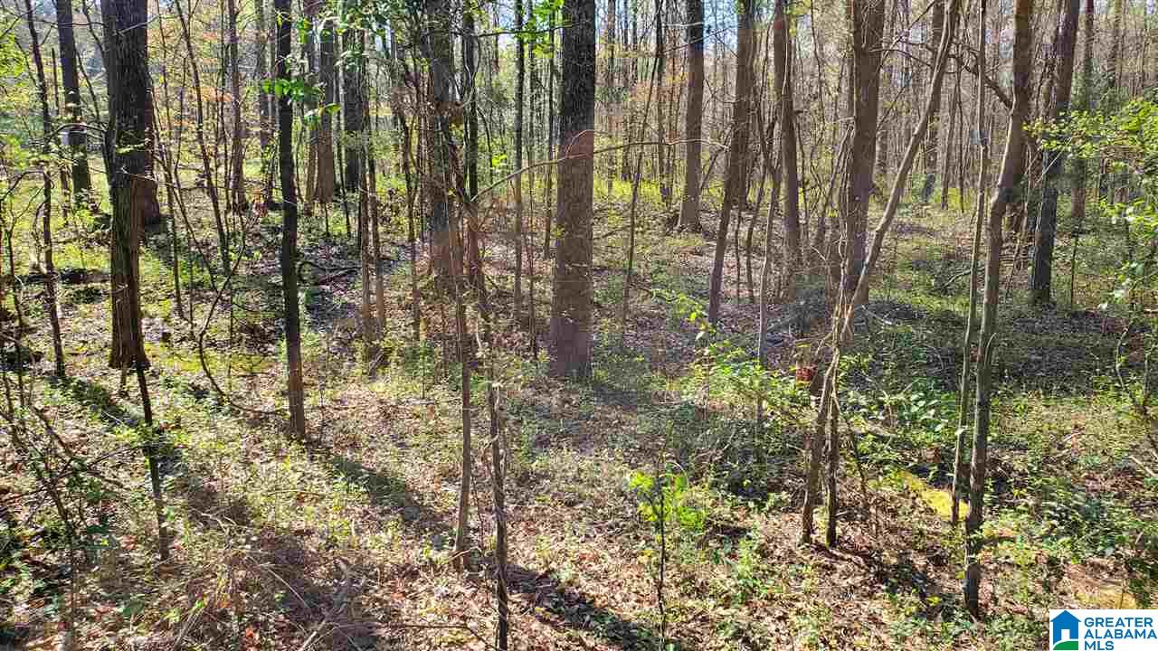 4356 Richeytown Road, Unit 1 Oxford, AL 36203 - Photo 4 of 10