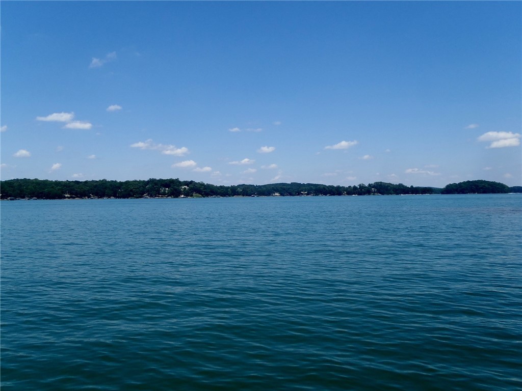 203 Luther Land Road Seneca, SC 29672 - Photo 7 of 50 View Across Dock