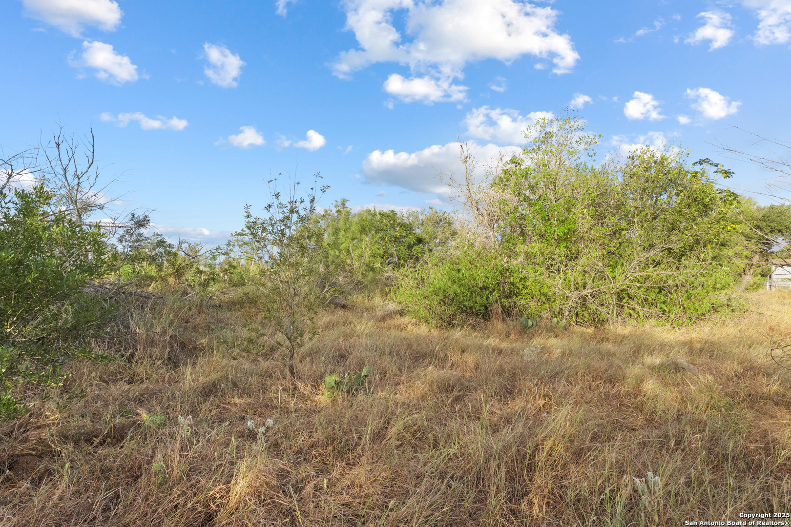 5835 Hardy Road Elmendorf, TX 78112 - Photo 6 of 8 a view of a city