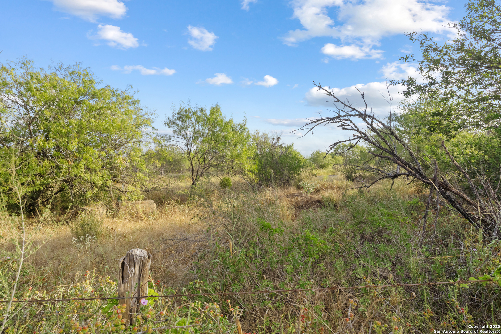 5835 Hardy Road Elmendorf, TX 78112 - Photo 7 of 8 a view of a yard