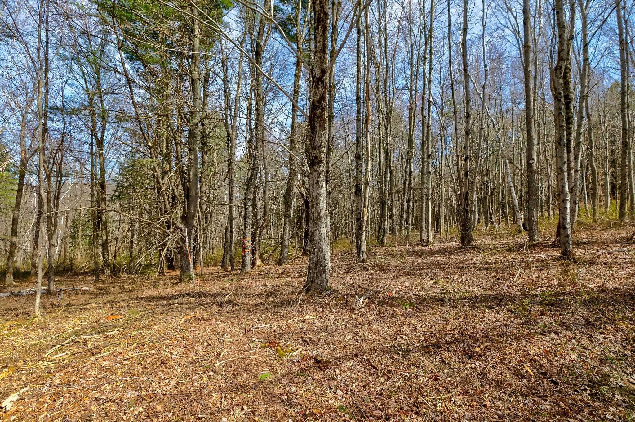 21-33 Wild Acres Road Gilford, NH 03249 - Photo 17 of 20 Gallery Image 17