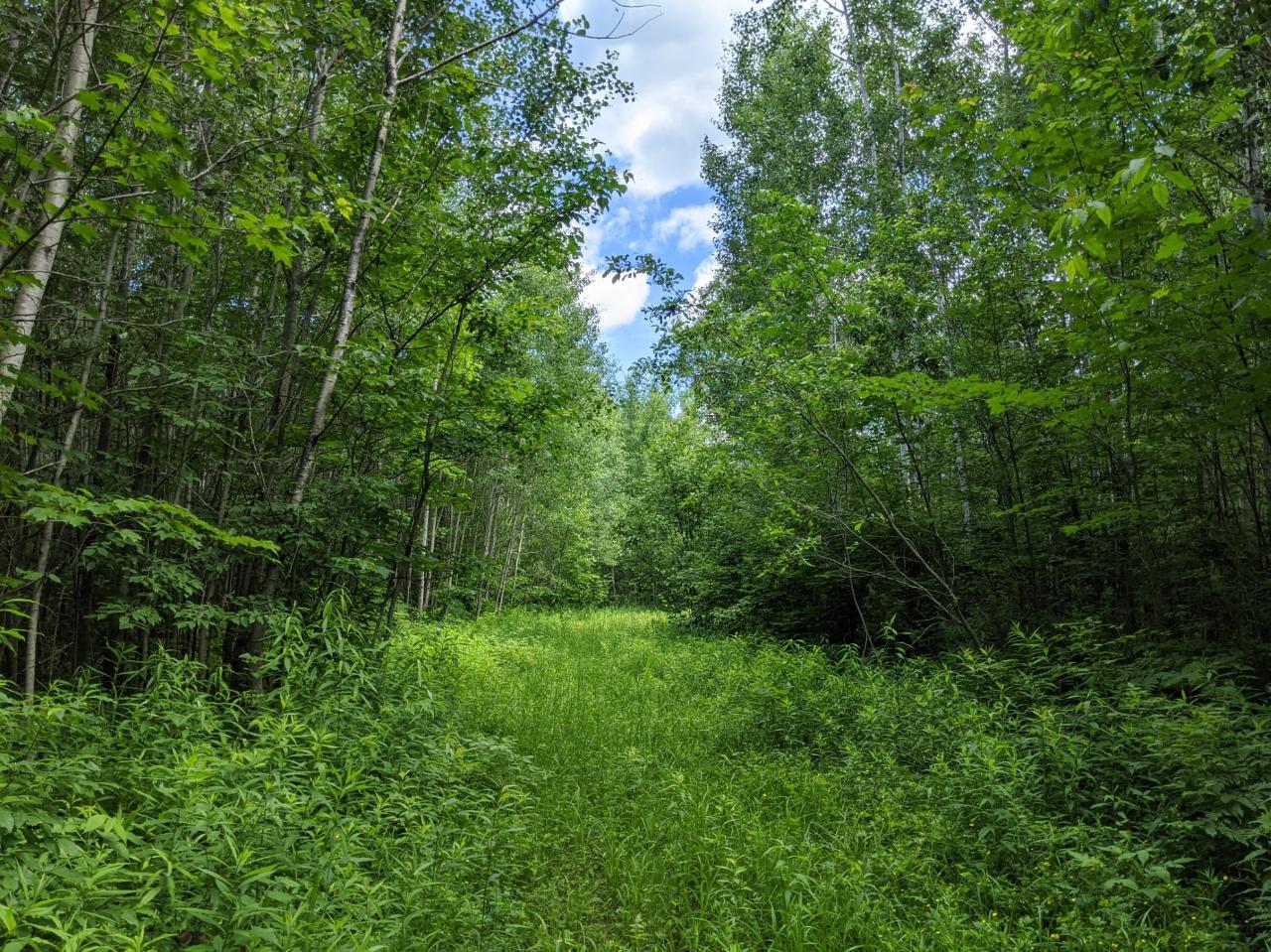 W3010 Goetzke Road Brantwood, WI 54513 - Photo 19 of 41 Gallery Image 19