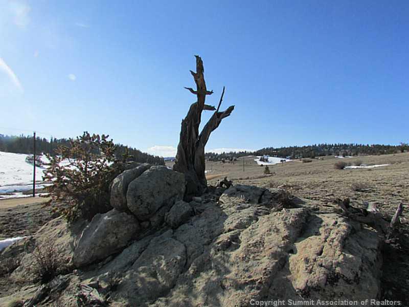 2848 Remington Road Como, CO 80432 - Photo 3 of 8 Gallery Image 3