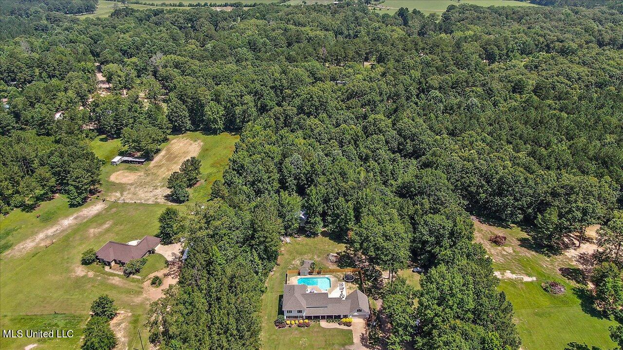 178 Thomasville Road Florence, MS 39073 - Photo 64 of 75 64-178 Thomasville Rd