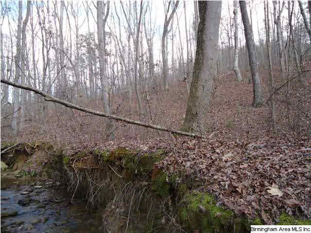 Loop Road Steele, AL 35987 - Photo 14 of 17